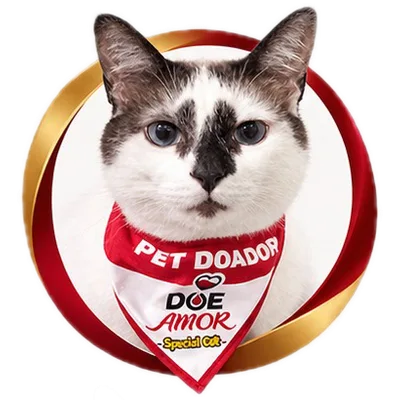 Gato doador branco com manchas cinza, usando bandana Pet Doador